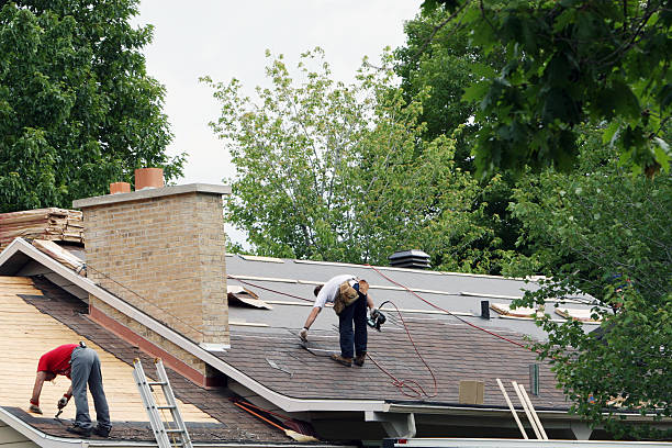 Best Roof Repair Services  in Bryant, WA